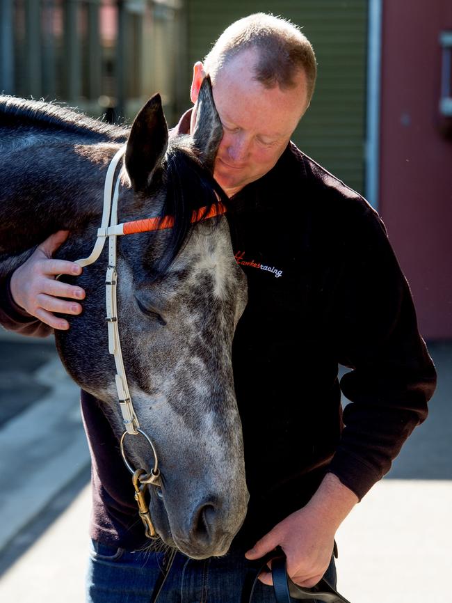 Wayne Hawkes with Chautauqua in his Flemington stables. Picture: Jay Town