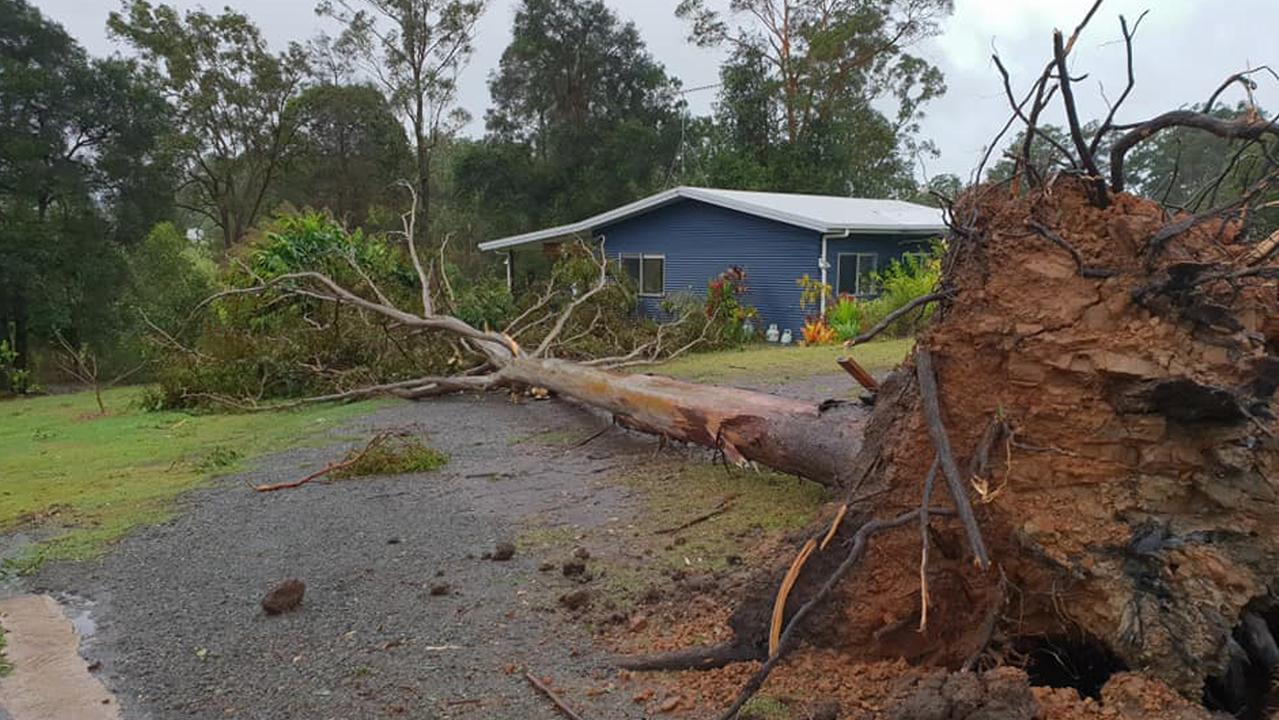 Wild weather in Queensland, New South Wales: boy crushed by tree is ...