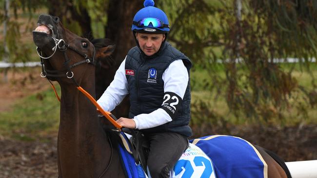 Danceteria at Werribee trackwork. Picture: AAP