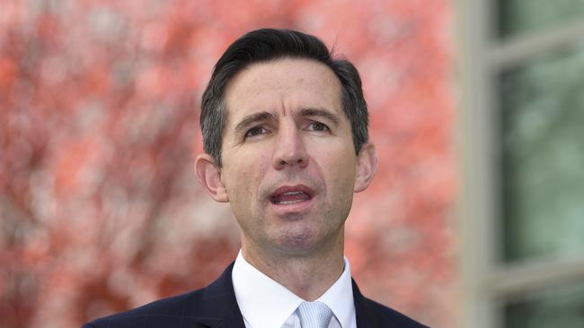 Trade Minister Simon Birmingham in Canberra on Tuesday. Picture: AAP