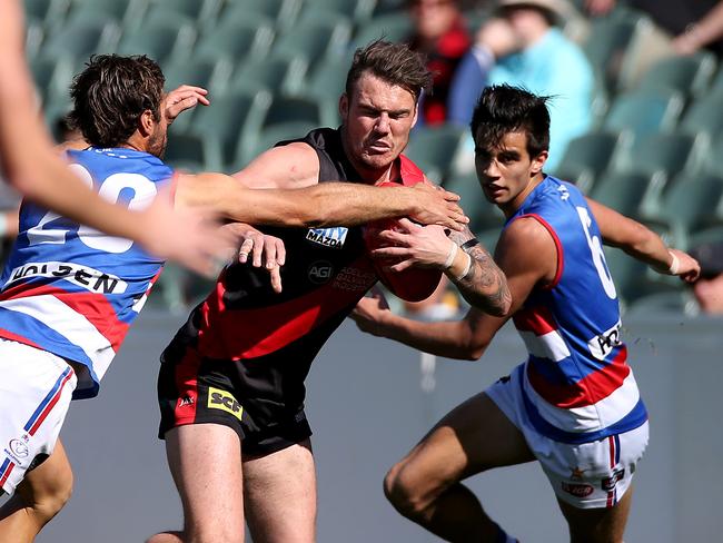 Bradley Helbig takes on the Doggies. Photo: Simon Cross.