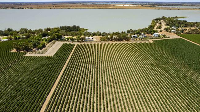 ACCC deputy chair Mick Keogh said the rate of price transparency concerns raised by wine grape growers can depend on market cycles and “at the moment with China out and low demand for production that has brought issues in the sector to the fore”. Picture: Zoe Phillips