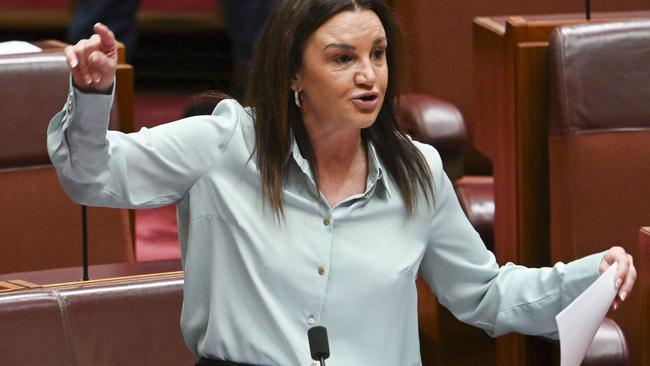 CANBERRA, AUSTRALIA  - NewsWire Photos - November 28, 2024: Senator Jacqui Lambie in the Senate at Parliament House in Canberra. Picture: NewsWire / Martin Ollman