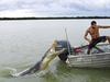 NT resident snappy after insurance giant dumps croc attack policy