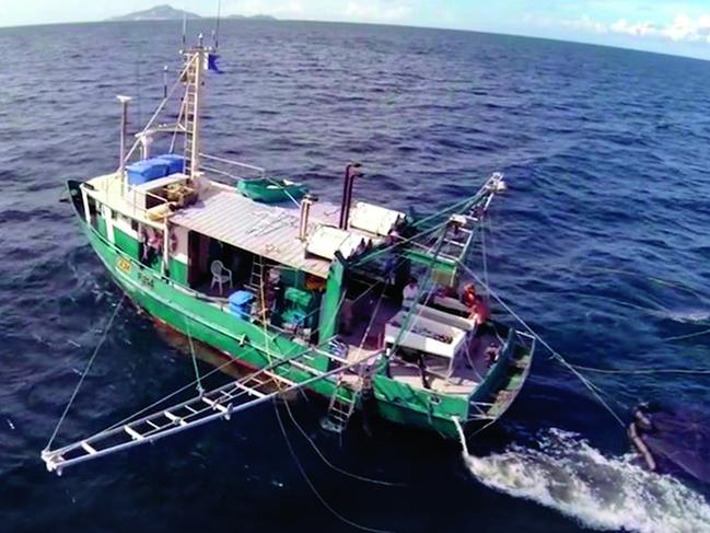 Sea cucumber trawler the FV Dianne