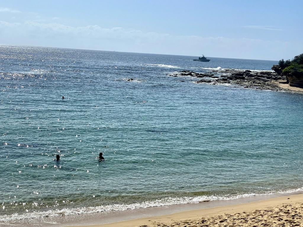 Number of fatal shark attacks on the rise in NSW | Daily Telegraph