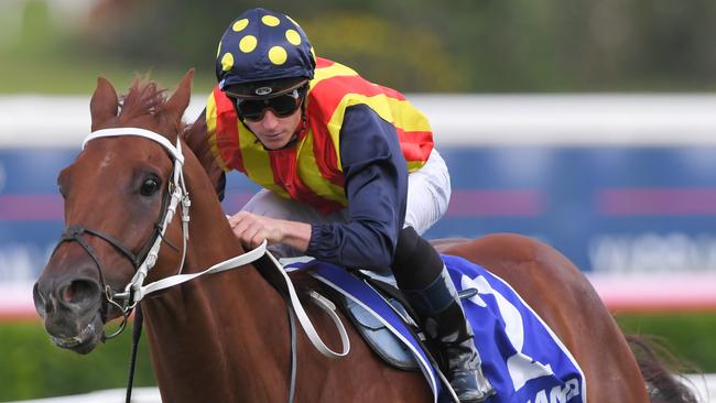 Nature Strip defied a betting drift to win the Challenge Stakes in style at Randwick. Picture: AAP