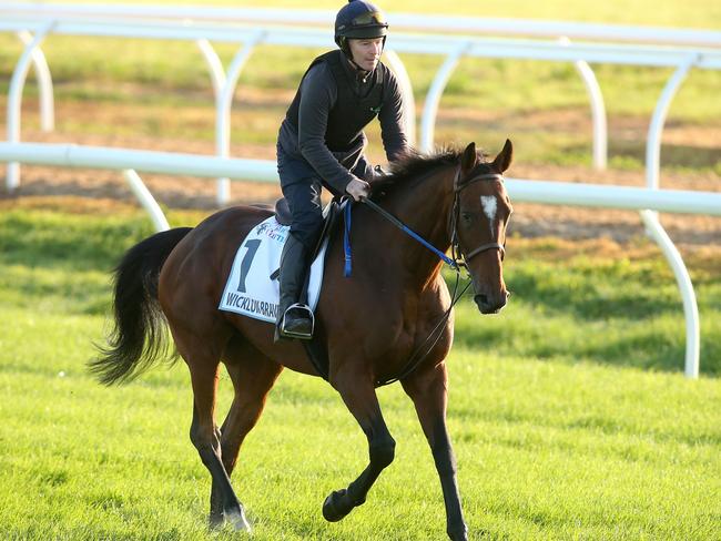 Wicklow Brave needs to improve after an average Caulfield Cup.