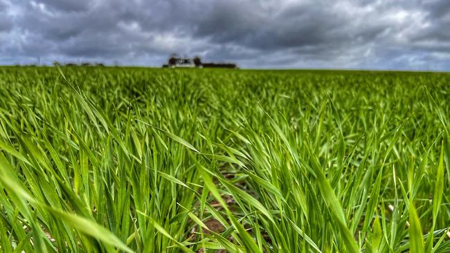 The farms comprising the Southwark Soaks aggregation have primarily been used for cropping and some sheep production.