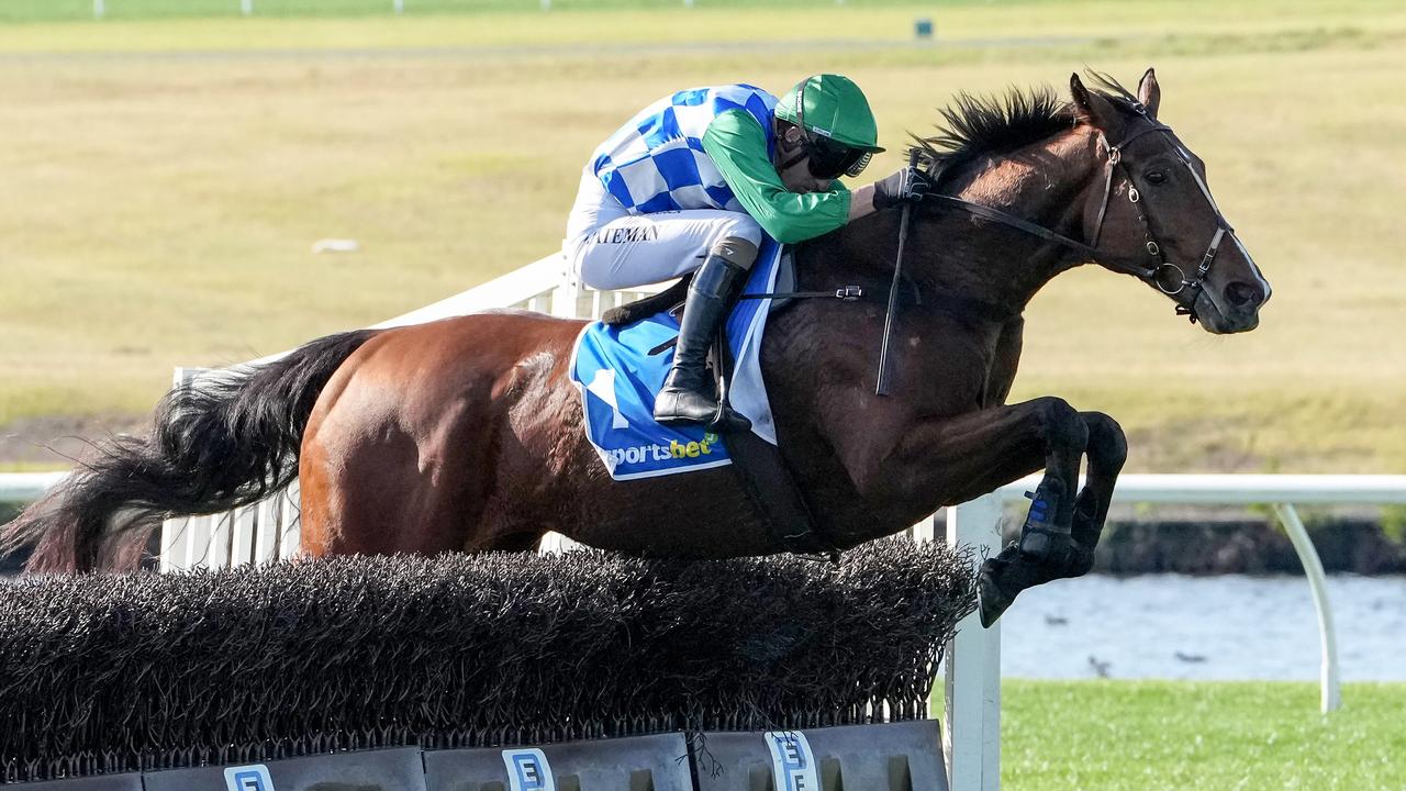 Stern Idol puts in an almighty leap on the way to victory in the Australian Steeplechase at Sandown Lakeside on Sunday. Photo: George Sal/Getty Images.