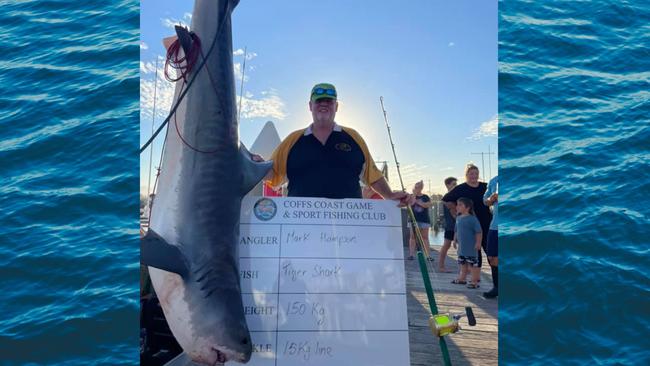 A photo from the competition showing a large tiger shark hauled in.