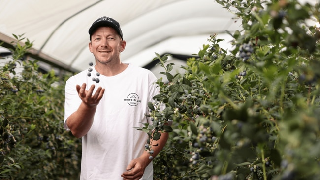 White Cloud Farms Owner Scott Carter