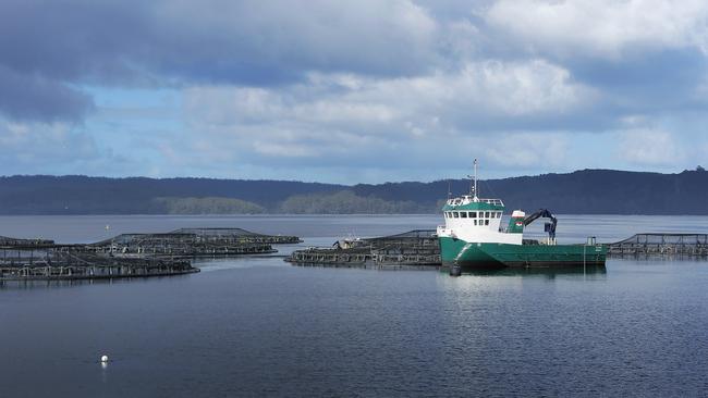 Salmon pens in Macquarie Harbour on Tasmania’s west coast. Picture: Mathew Farrell