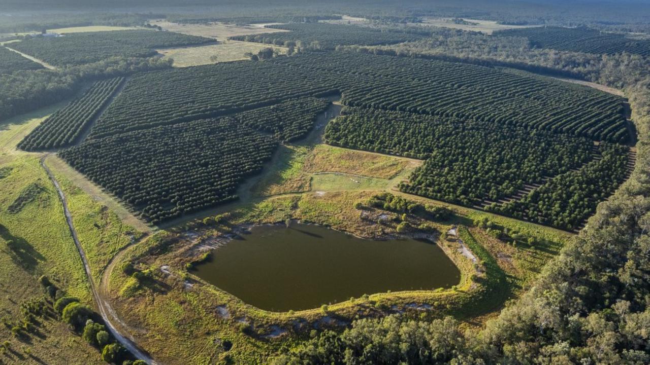 Winfield is one of two established macadamia orchards situated on 1512ha in Bundaberg that have been put up for sale and marketed by the Colliers Agribusiness team.