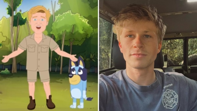 Fans are divided over Robert Irwin’s beef with Bluey cartoon | Gold ...
