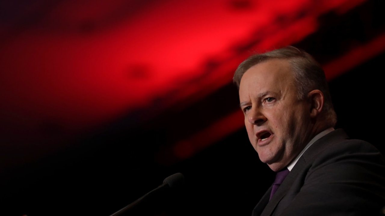 Anthony Albanese is on the path 'to the dark side of politics' 