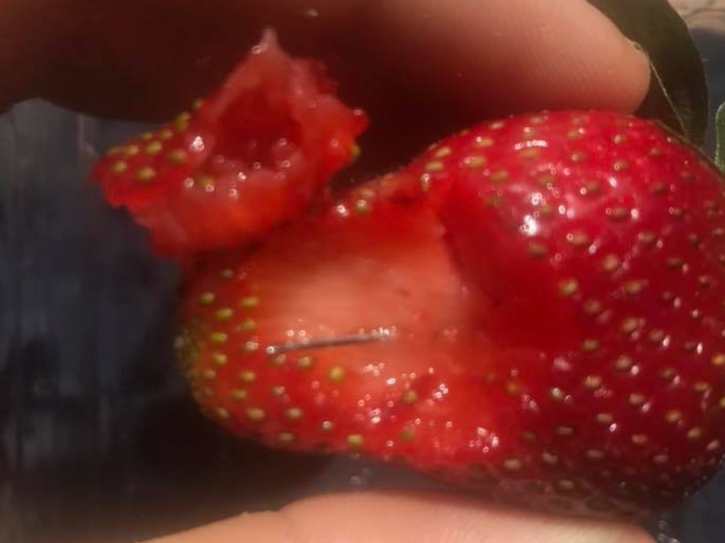 One of the needles found during last year’s spate of strawberry contaminations. Picture: Joshua Gane/Facebook.