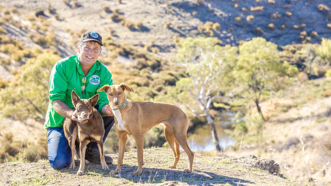 Clunes farmer brings butcher shop to his farmgate