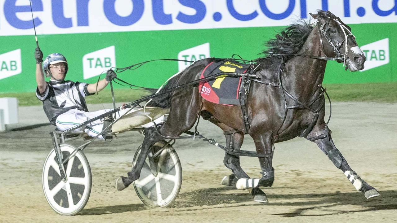 Tiger Tara has been a dominant force in feature races at Melton this season. Picture: Stuart McCormick