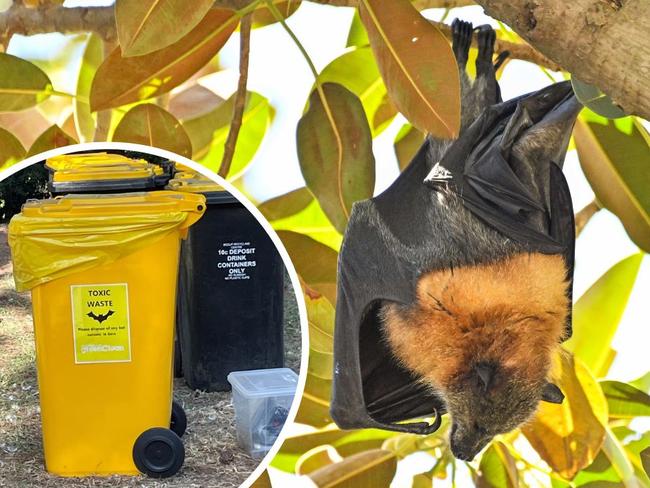 Bat bins at WOMAD artwork