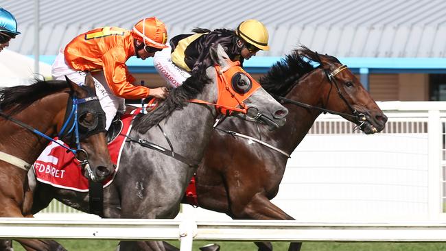 Barwon, ridden by Bonnie Thomson, wins Race 5 at Cannon Park, watched by only a handful of trainers. The general public are not permitted to attend horse races due to the government retrictions in place to reduce the spread of Coronavirus. PICTURE: BRENDAN RADKE