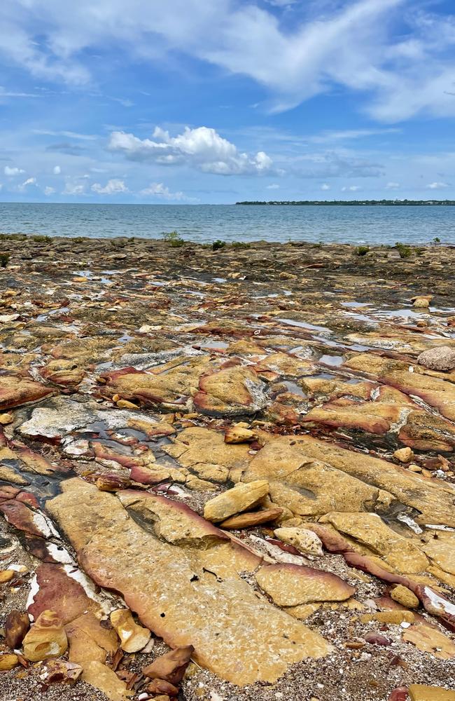 Darwin’s coastal aspects are gorgeous but tourists must remember to always be croc wise. Picture: Rae Wilson