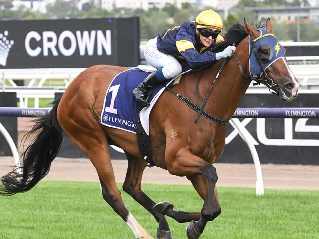 Jungle Jim ridden by Celine Gaudray wins the Jockey Assistance Program Plate at Flemington Racecourse on January 13, 2024 in Flemington, Australia. (Photo by Brett Holburt/Racing Photos via Getty Images)