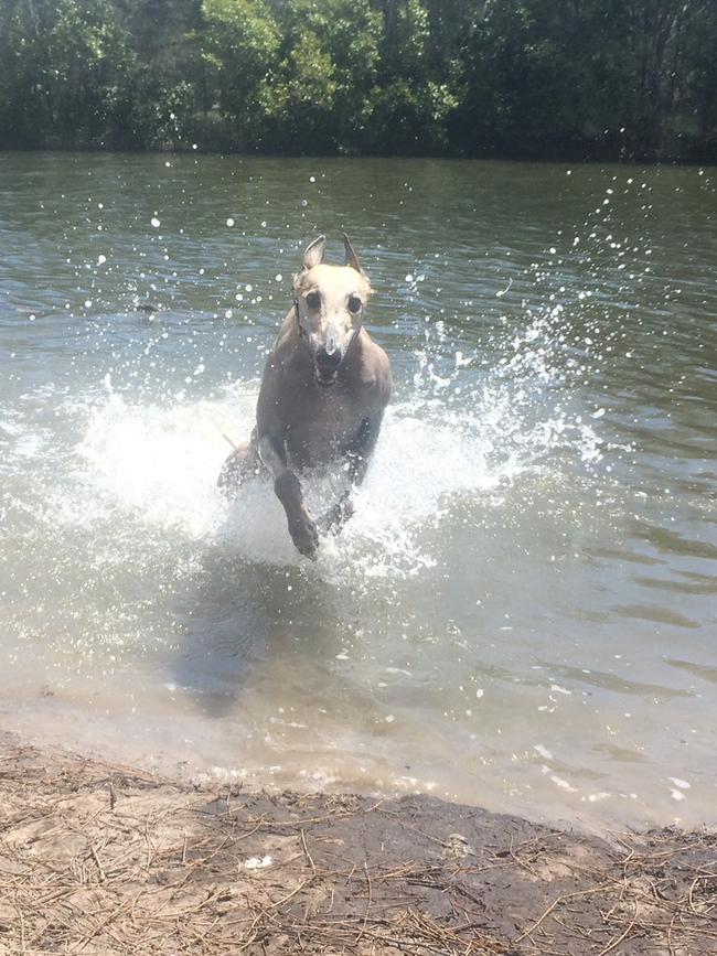 Water! Picture: Amanda Robbemond