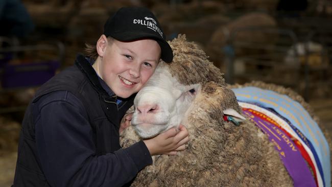 Supreme Champion Merino Exhbit winner held by 12yo Harry Dalla from Collinsville at Hallett in South Australia. Picture: Zoe Phillips