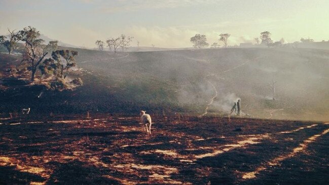 Scott Pape’s property after the fire.