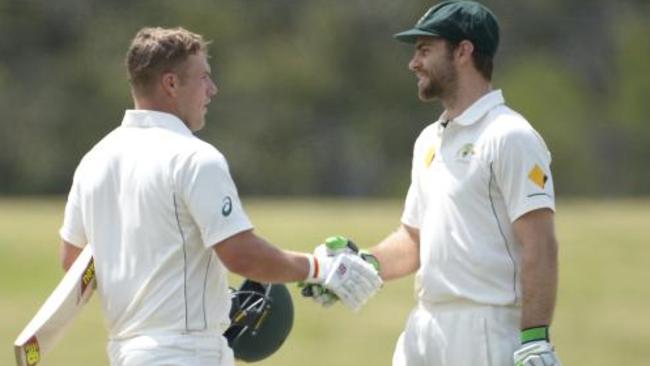 Aaron Finch and Ryan Carters celebrate during their epic partnership.