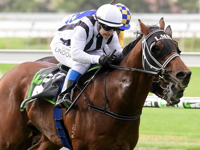 6/05/2017 Morphettville Races.Race 1 Clare Lindop takes Royal Rumble down the outside to win. Picture Mark Brake