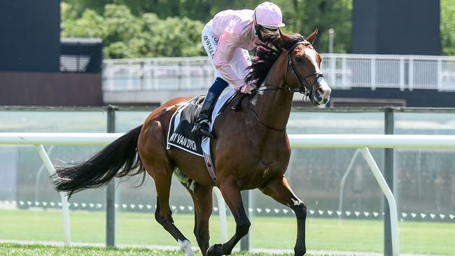 Anthony Van Dyck died after breaking down in the Melbourne Cup. Picture: AFP