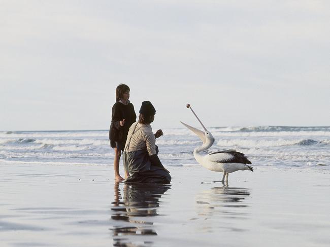 Original frame from the movie Storm Boy. Source: SA film Corp