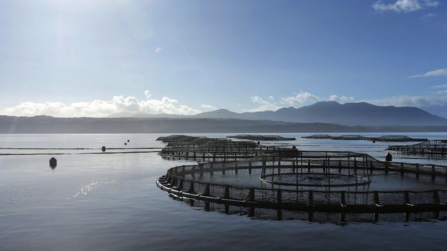 Tassal’s salmon pens on the West Coast of Tasmania. Picture: Mathew Farrel