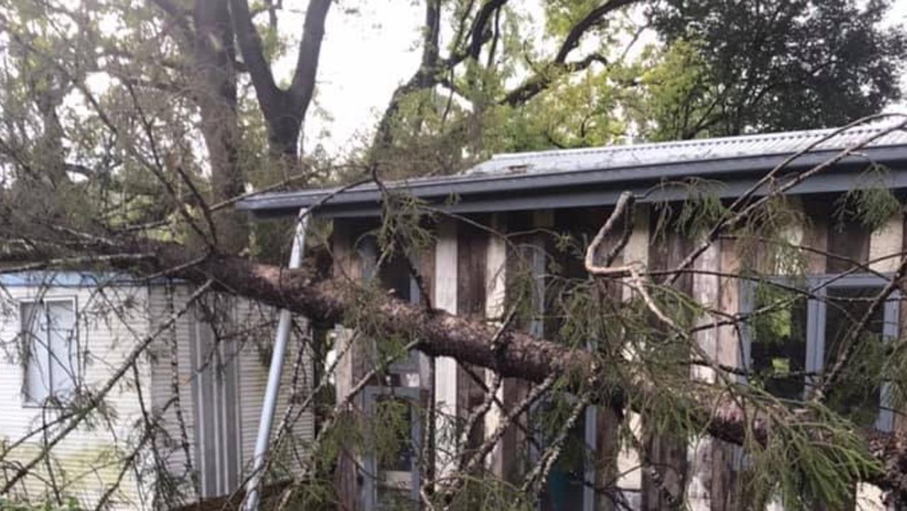 SOCIAL MEDIA IMAGE DISCUSS USE WITH YOUR EDITOR - Fallen trees just missed Elizabeth Moore's house in the storm which swept through the Clarence Valley on Tuesday, 9th March, 2021.