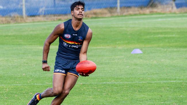 Could Tariek Newchurch be in with a chance for a senior debut? Picture: NCA NewsWire / Brenton Edwards