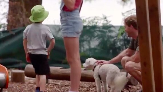 The kids of five parents were sent to the park with a nanny, and approached by an actor posing as a stranger with a dog. Picture: Channel 9