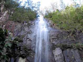 Protestors Falls at Terania Creek. Picture: Contributed Peter Greenwell