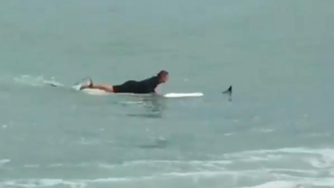 Florida Surfer Saves Bird in Ocean as Alberto Heads for Gulf Coast