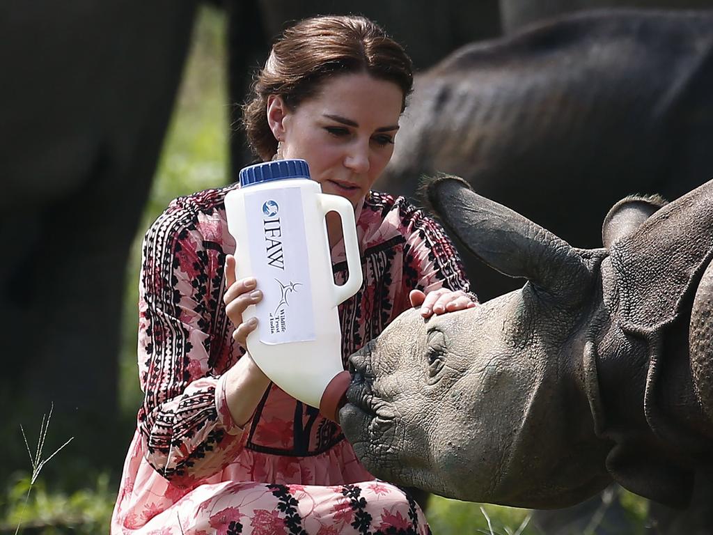 Catherine, Duchess of Cambridge, feeds a rhino calf at the Centre for Wildlife Rehabilitation and Conservation (CWRC) at Panbari reserve forest in Kaziranga in the northeastern state of Assam on April 13, 2016. Picture: AFP