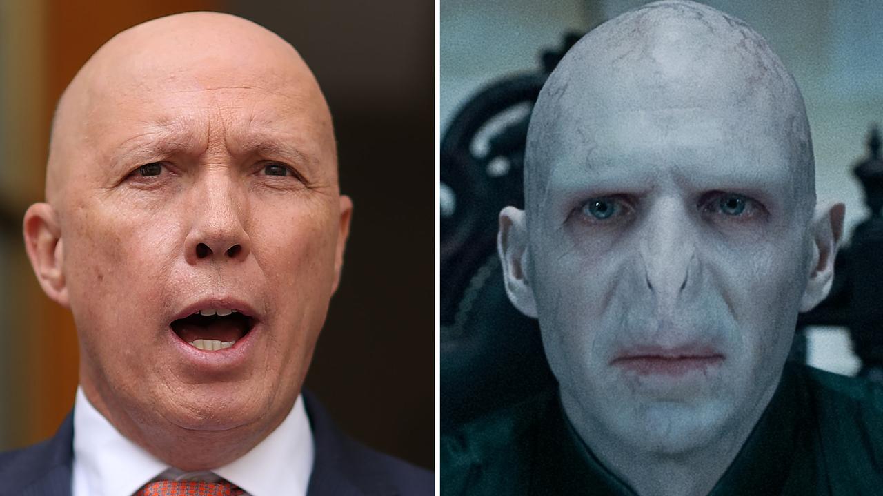 Peter Dutton compared to Harry Potter villain Voldemort by Tanya ...