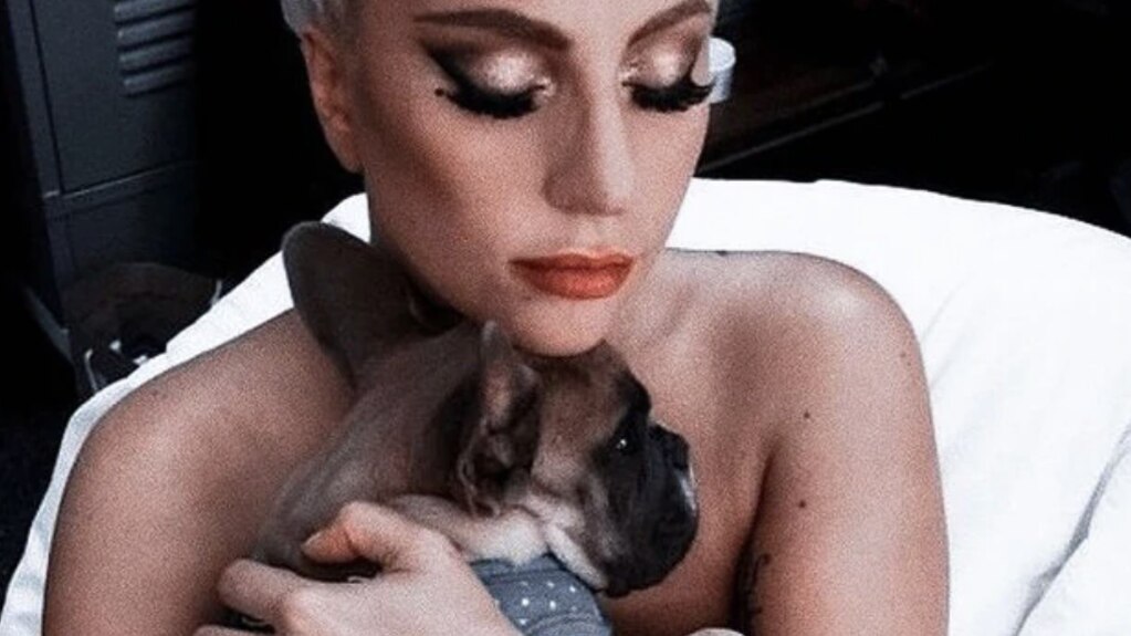 Lady Gaga's dogs were found safe, but her had wants the book thrown at the dognappers.