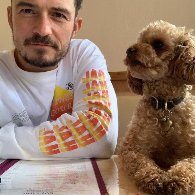 After a week of searching for his missing dog, Orlando Bloom has revealed Mighty has died. Picture: Instagram/Orlando Bloom