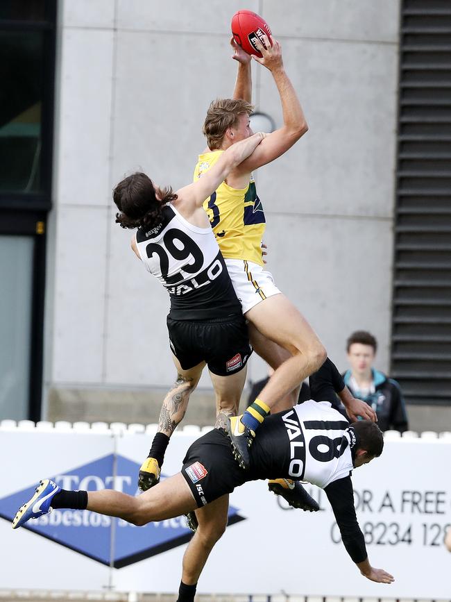 Jack Lukosius marks over Jasper Pittard and Jimmy Toumpas. Picture: Sarah Reed