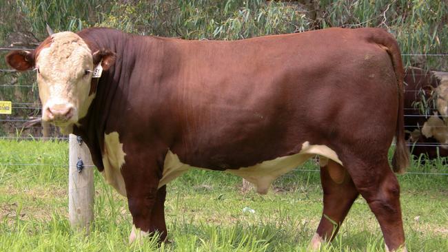 Injemira Redford J006 Q287 sold for $160,000.