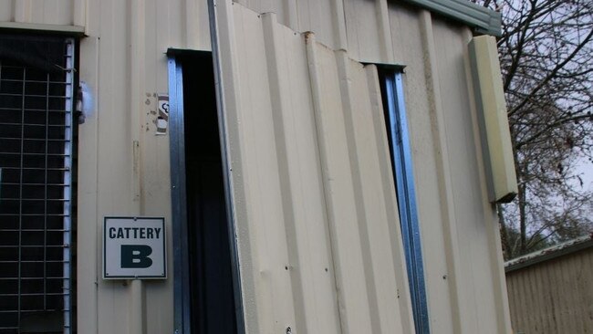 A cattery at the Albury Animal Care Centre was broken into on Wednesday night.