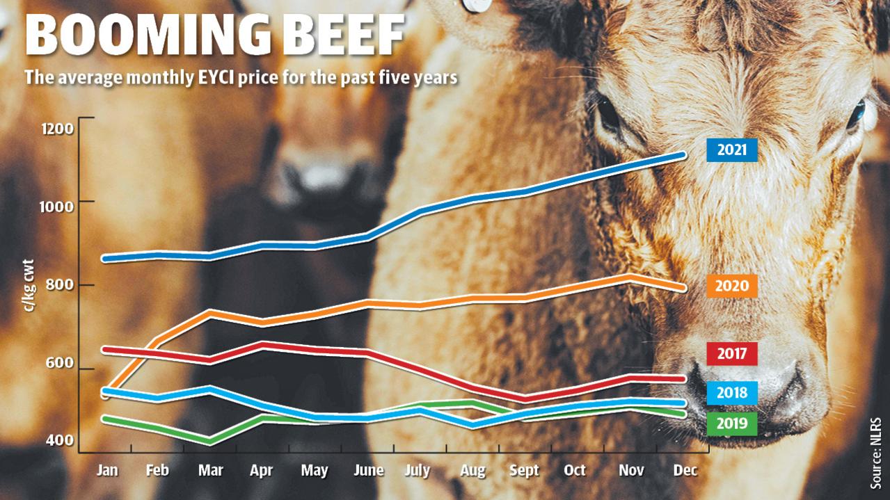 Cattle prices: EYCI hits five-month record above 1000c/kg | The Weekly ...