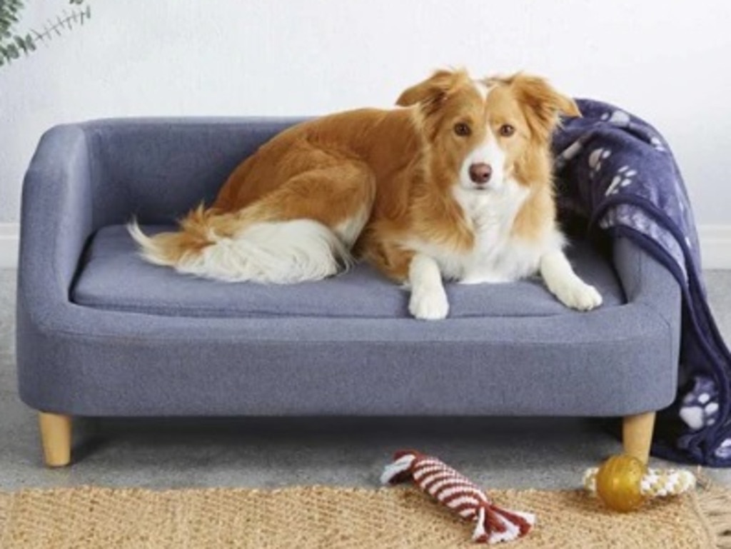 Aldi Special Buys You can now buy miniature sofas for your pets