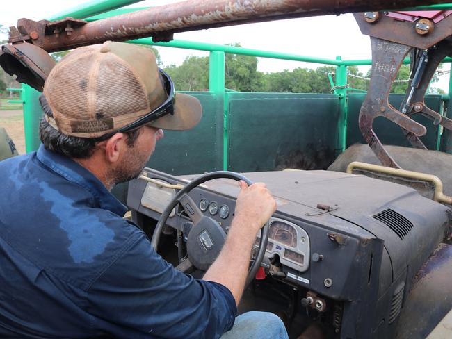 Lindsay Germein trialling the new handler on a herd of swamp buffalo at Woolner Station.